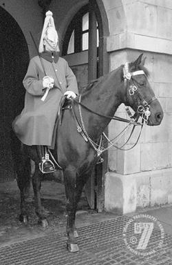 Guardsman, London