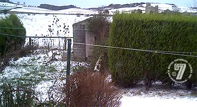 Snow again